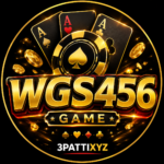 WGS456 Game